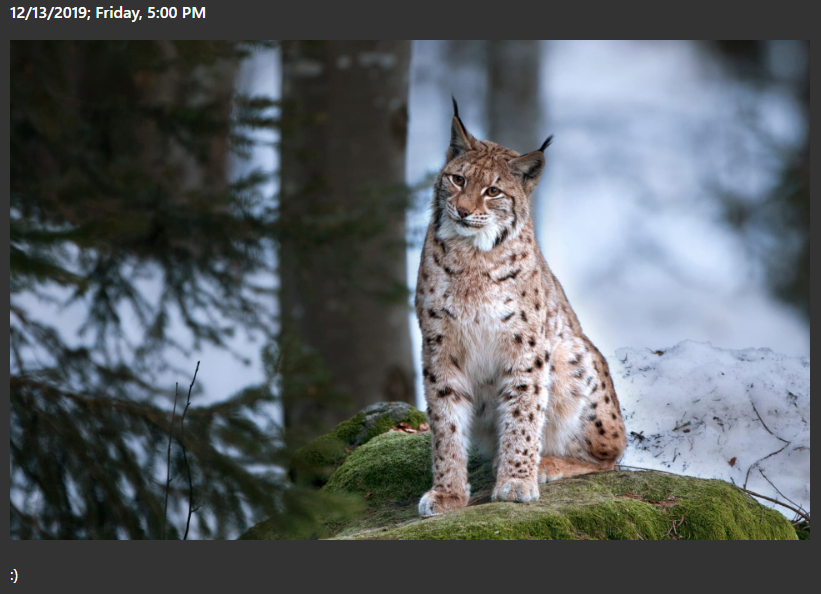 Lynx fever (and the microblog)