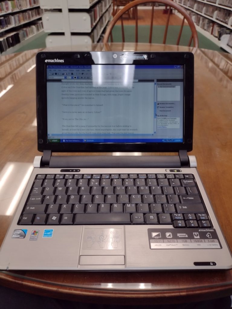 Using the eMachines Laptop at the library!
