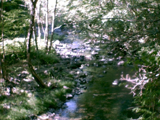 Further downstream, as snapped by the PhotoCam
