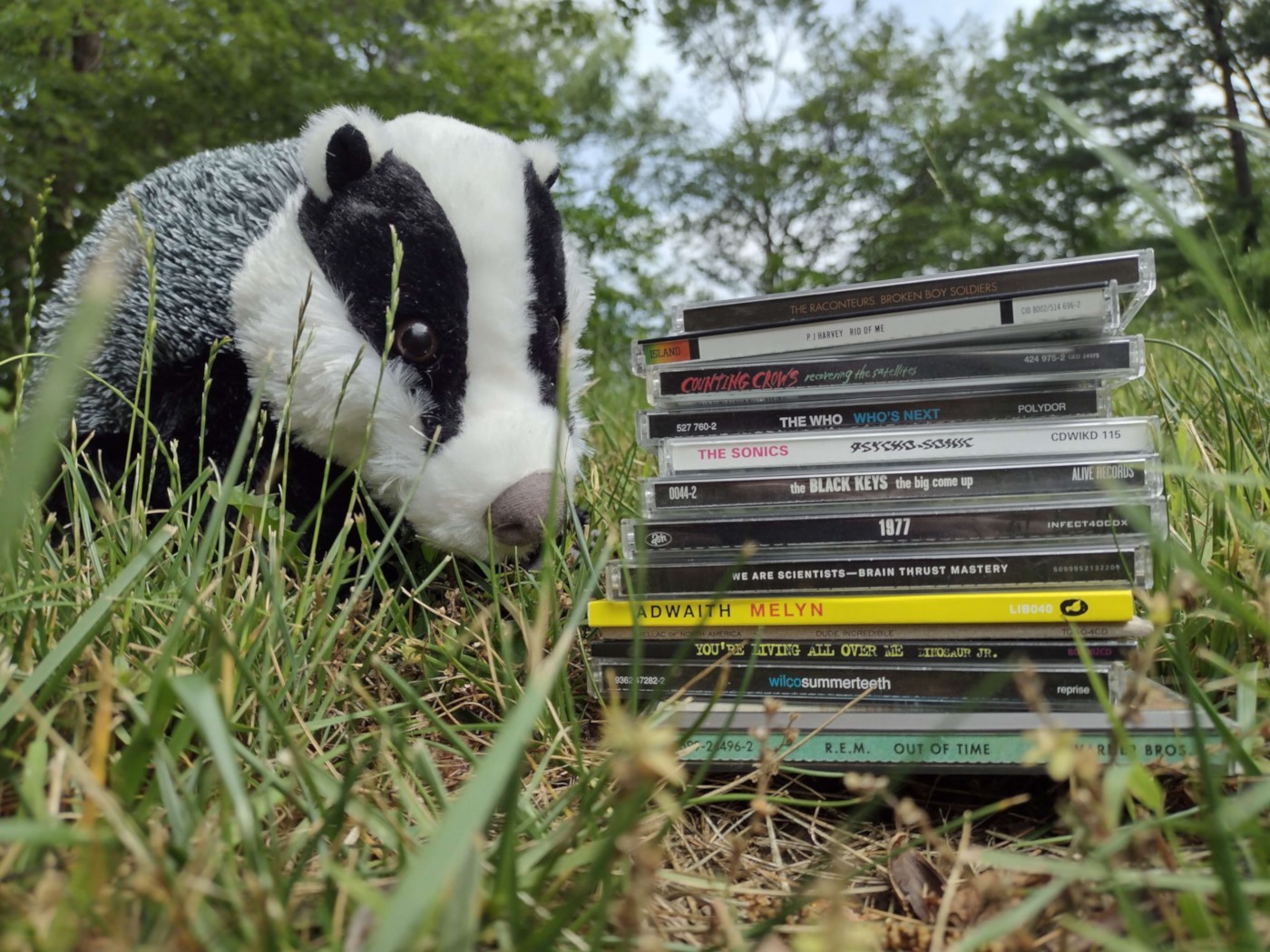 A plushie badger with my CD haul