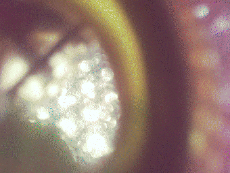 The blurry image quantized and dithered to better emulate the original image